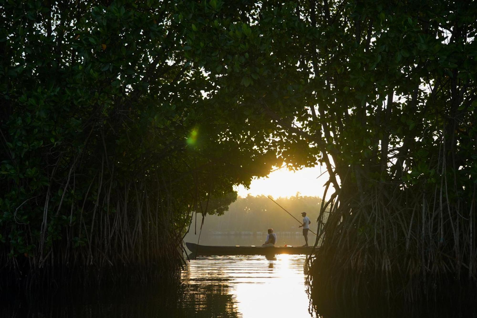 Kalloos Island Backwater Resort Kollam Exterior foto